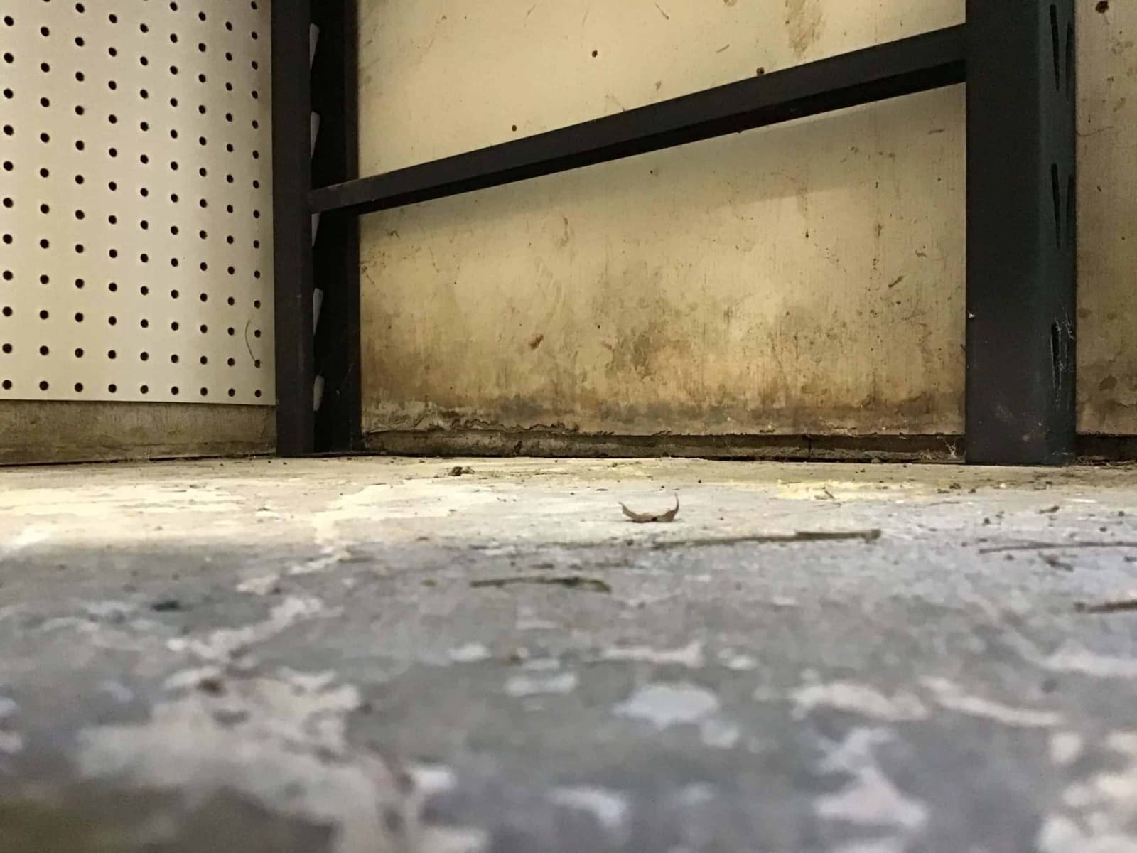 Multi-area mold remediation project in Norwalk, CT