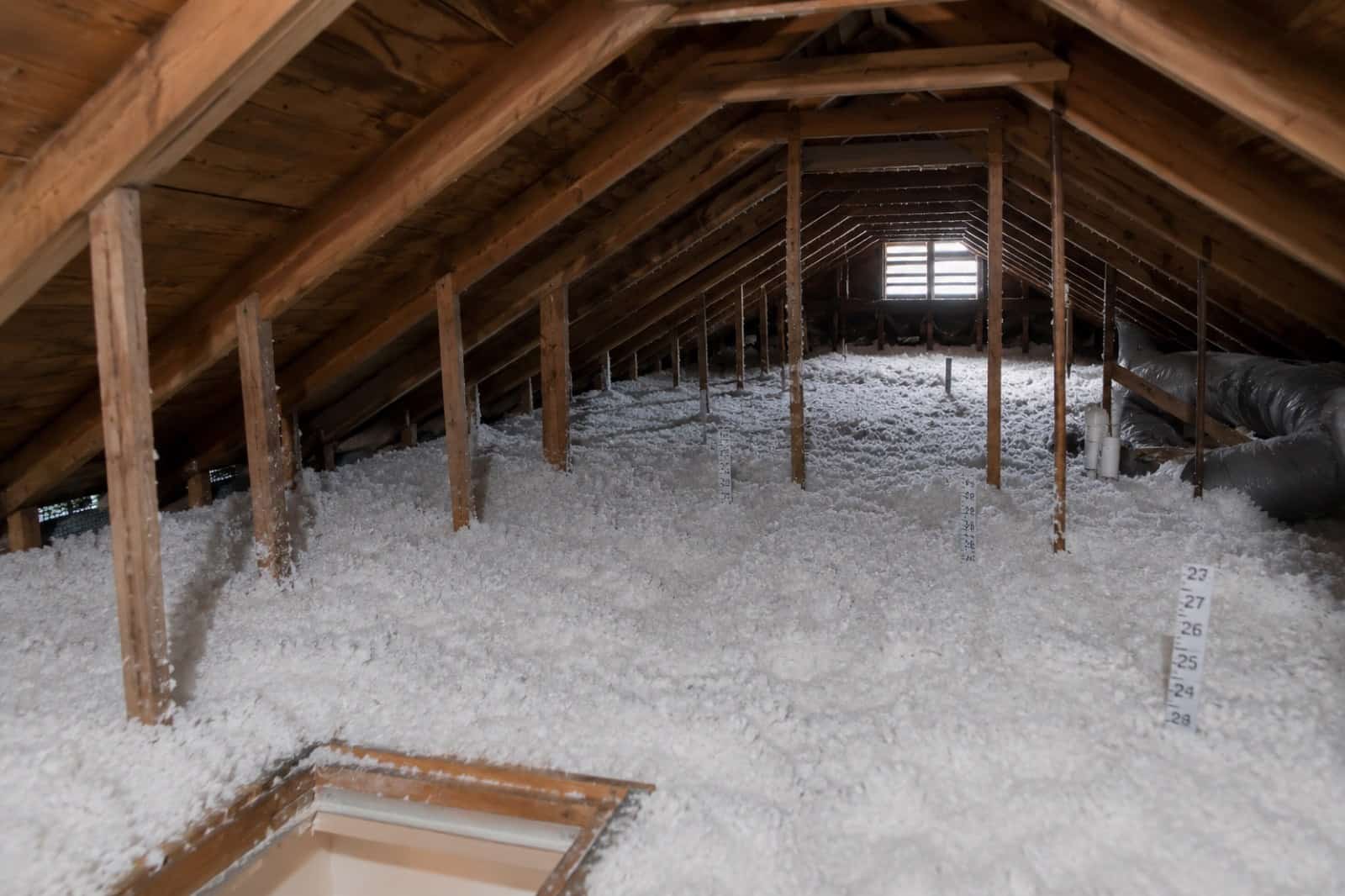 Attic Cleanup & Insulation